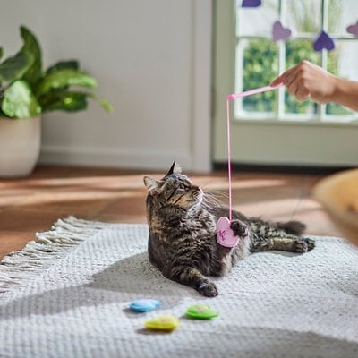 A Teaser Toy For Cats: Frisco Valentine Hearts Teaser and Plush Cat Toy With Catnip