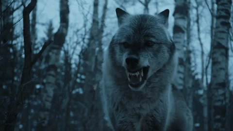 Nymeria
