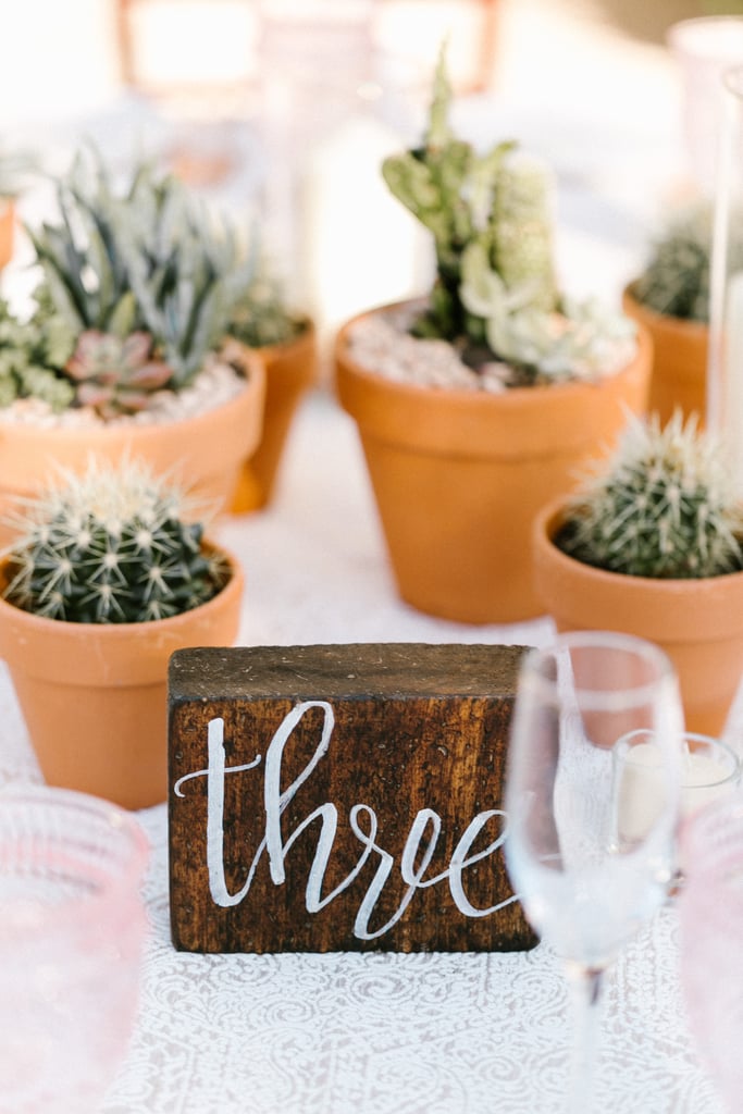 Desert Decorations