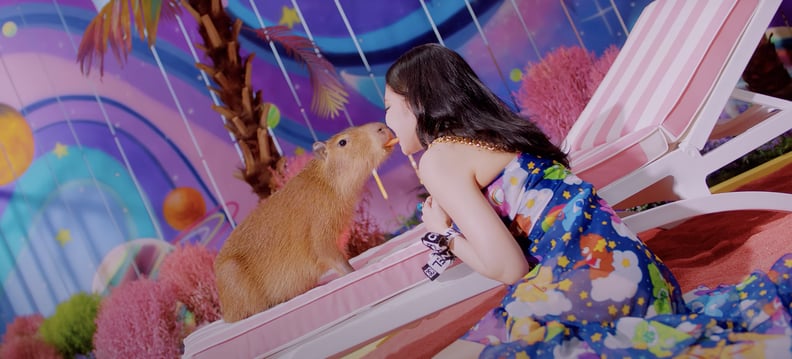 Here's the Capybara Having a Lady and the Tramp Moment With Jennie