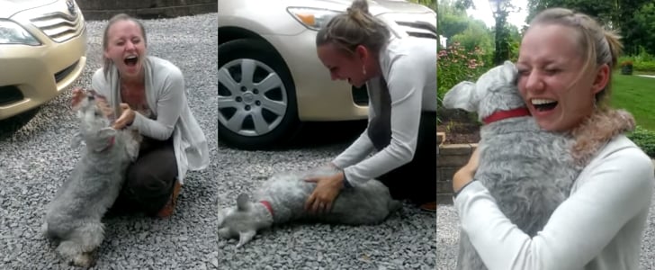 Dog Faints After Seeing Owner For the First Time in 2 Years
