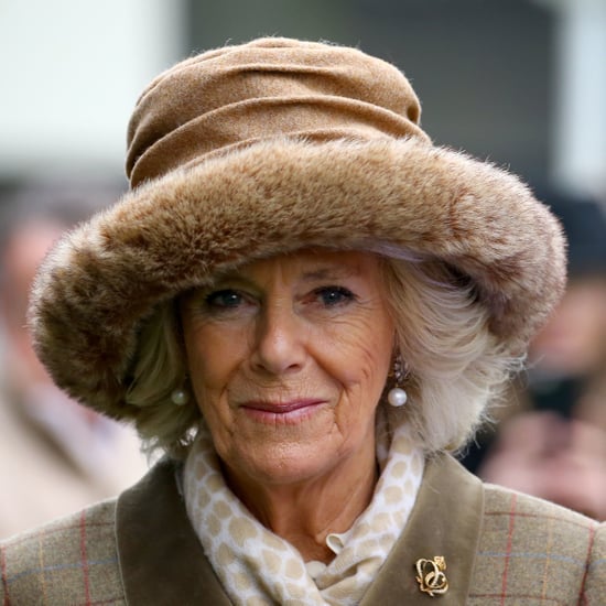 What Do Will and Harry's Kids Call Camilla?