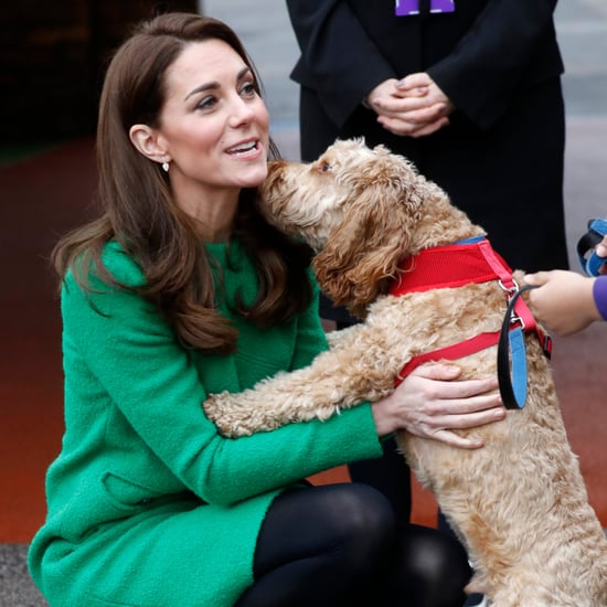Pictures of the British Royals With Animals