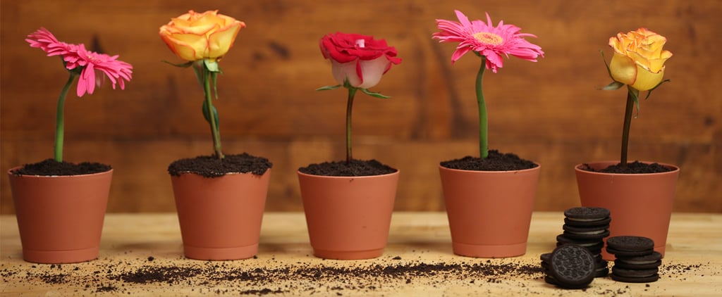 Flower-Pot Dessert