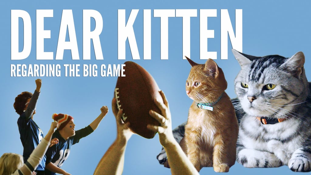 Friskies: "Dear Kitten: Regarding the Big Game"