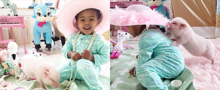 Adorable Pictures of a Toddler and Her Pet Pig