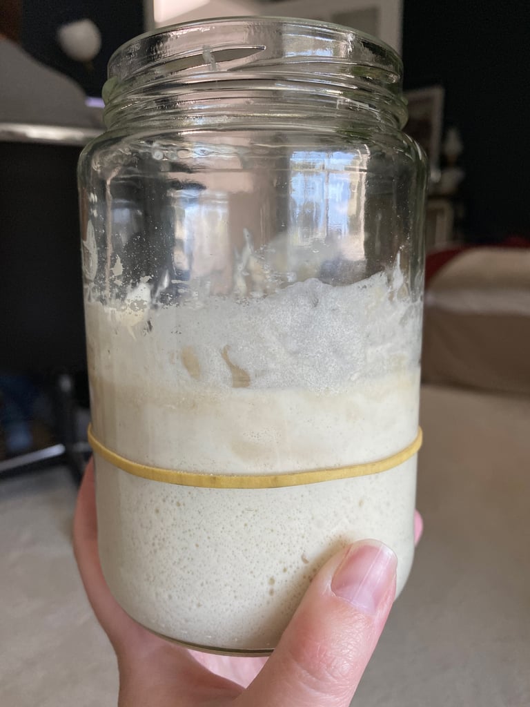 Sourdough Starter Day 2