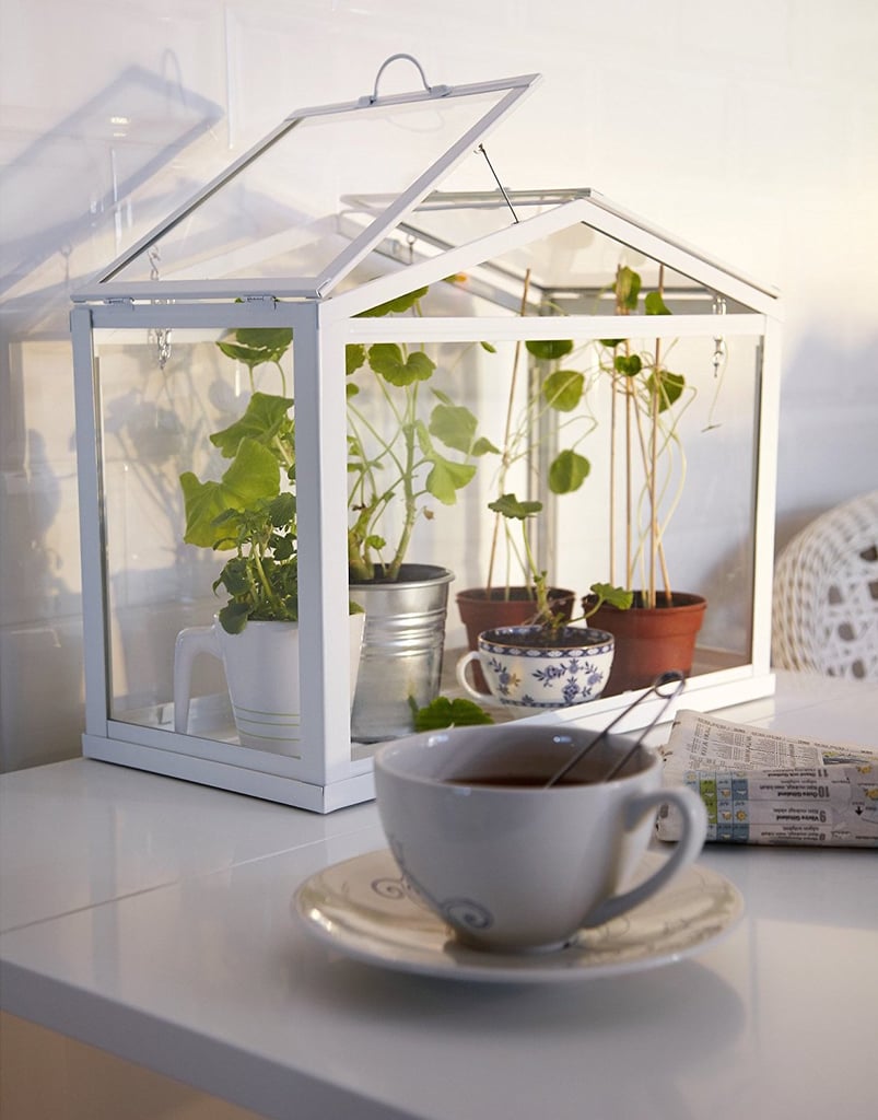 Ikea Greenhouse ($42)