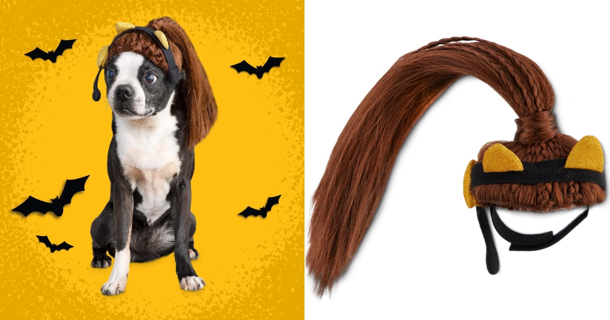 Ariana grande hotsell dog costume