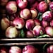 How to Save Money at the Farmers Market