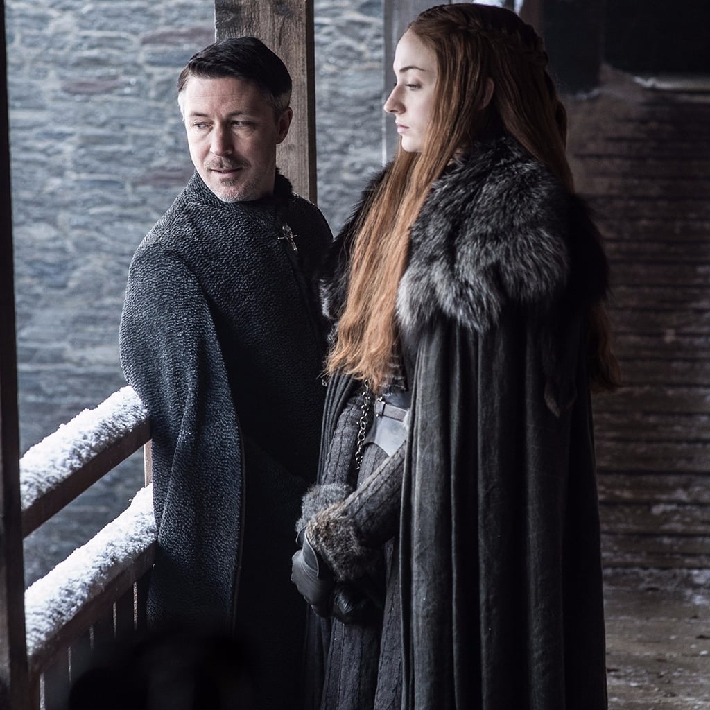 Why Does Sansa Have Littlefinger Killed? | POPSUGAR Entertainment