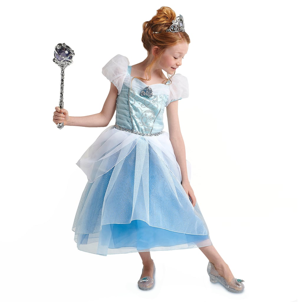 Disney Cinderella Costume