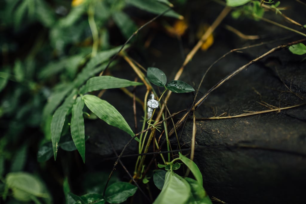 Hawaiian Jungle Engagement Shoot