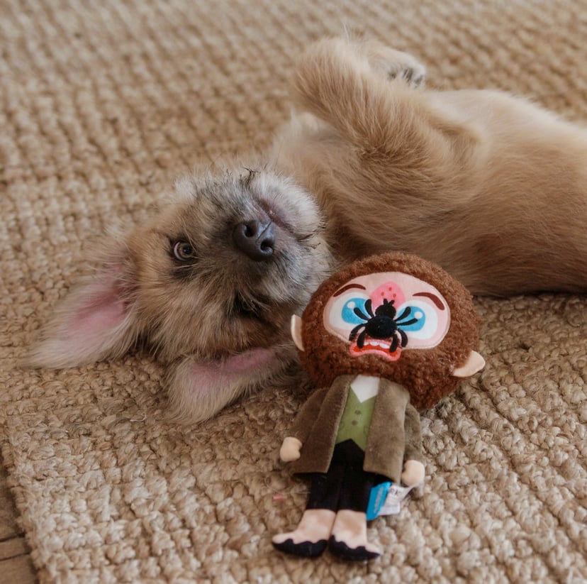 Toys for puppies home alone outlet