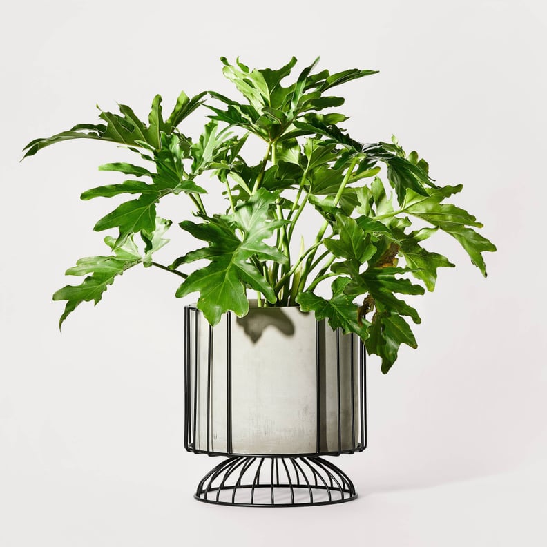 Outdoor Planter Pot with Metal Stand