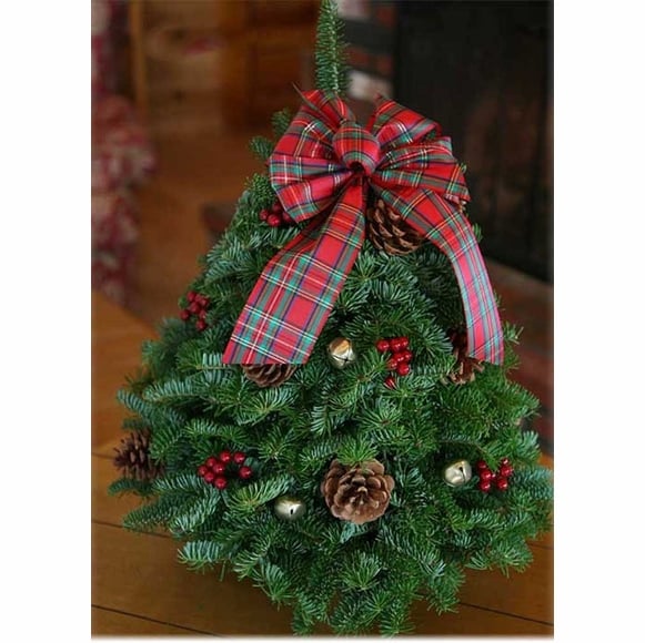 Live Decorated Balsam Tabletop Christmas Tree Best Live Tabletop