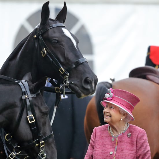 Queen Elizabeth II Watching Horses on iPad CCTV