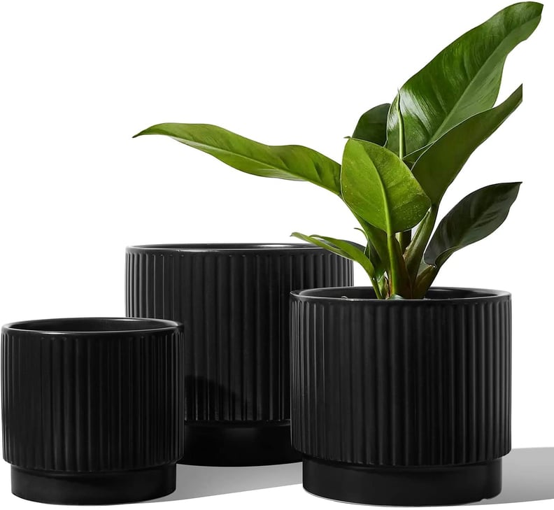Modern Planters: Le Tauci Ceramic Stripe Planters