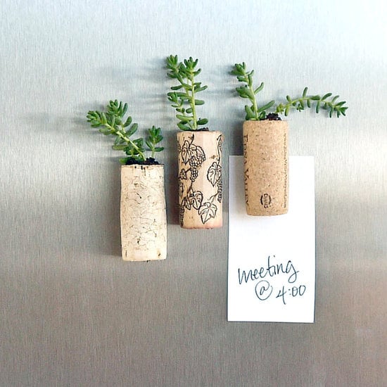 Wine-Cork Succulent Magnets