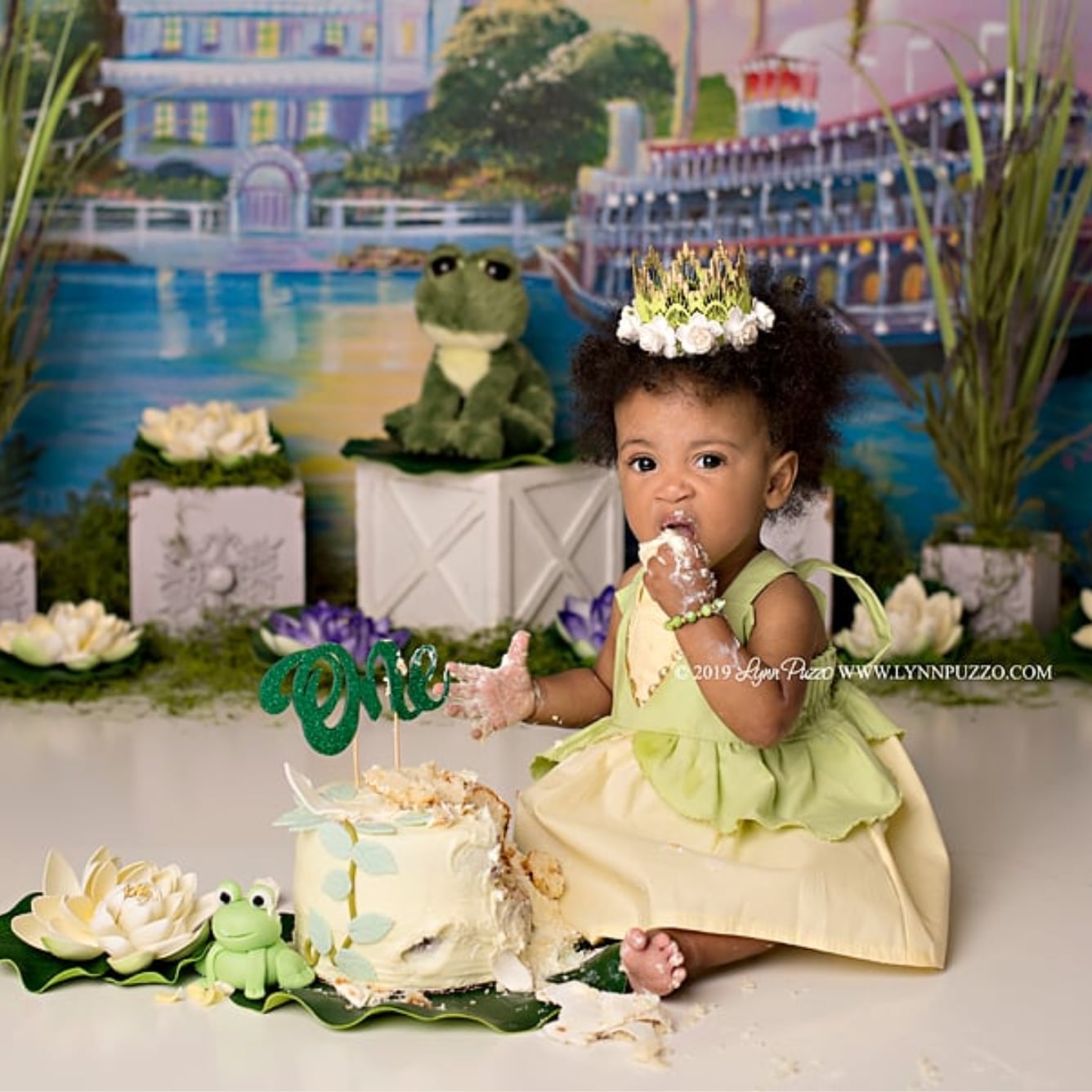 Princess And The Frog Cake Smash Popsugar Family