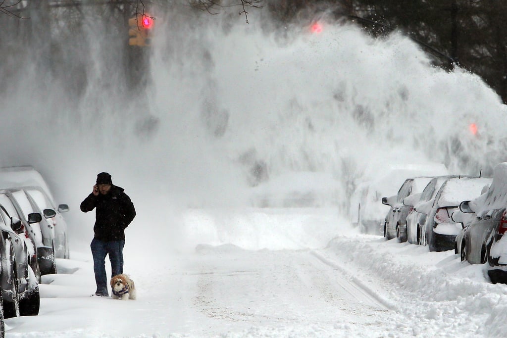 At the start of the new year, a man braved the chilly New York temperatures — and the output from nearby snowblowers — while walking his dog.