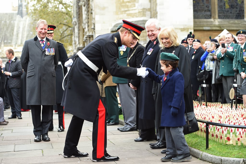 Prince Harry at Field of Remembrance in London 2016