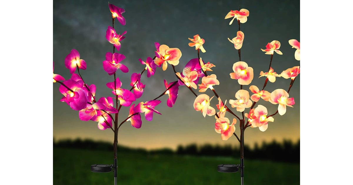2 Pack Solar Power Orchid Flower LED Lights Transform Your