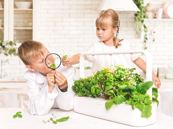 Click and Grow Smart Garden 9