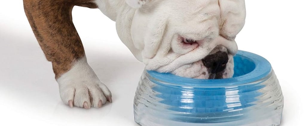 Cooling Water Bowls For Dogs