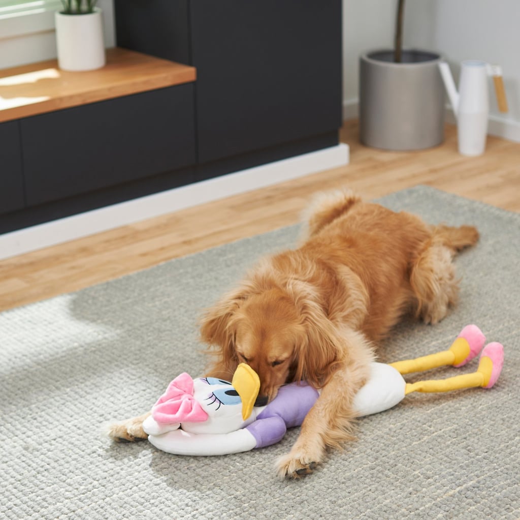Daisy Duck Wagazoo Plush Squeaky Dog Toy You Can Find the Best Disney