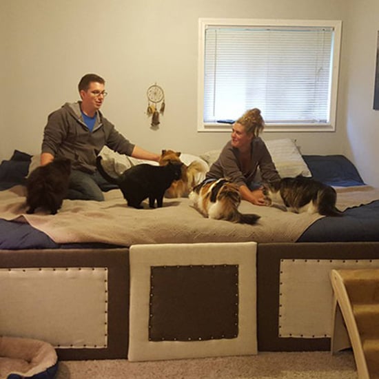 Guy Makes 11-Foot Bed Big Enough For Pets