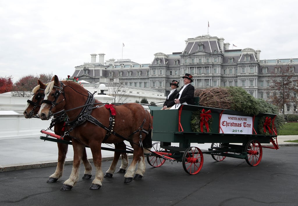 Michelle Obama Welcomes White House Christmas Tree 2016