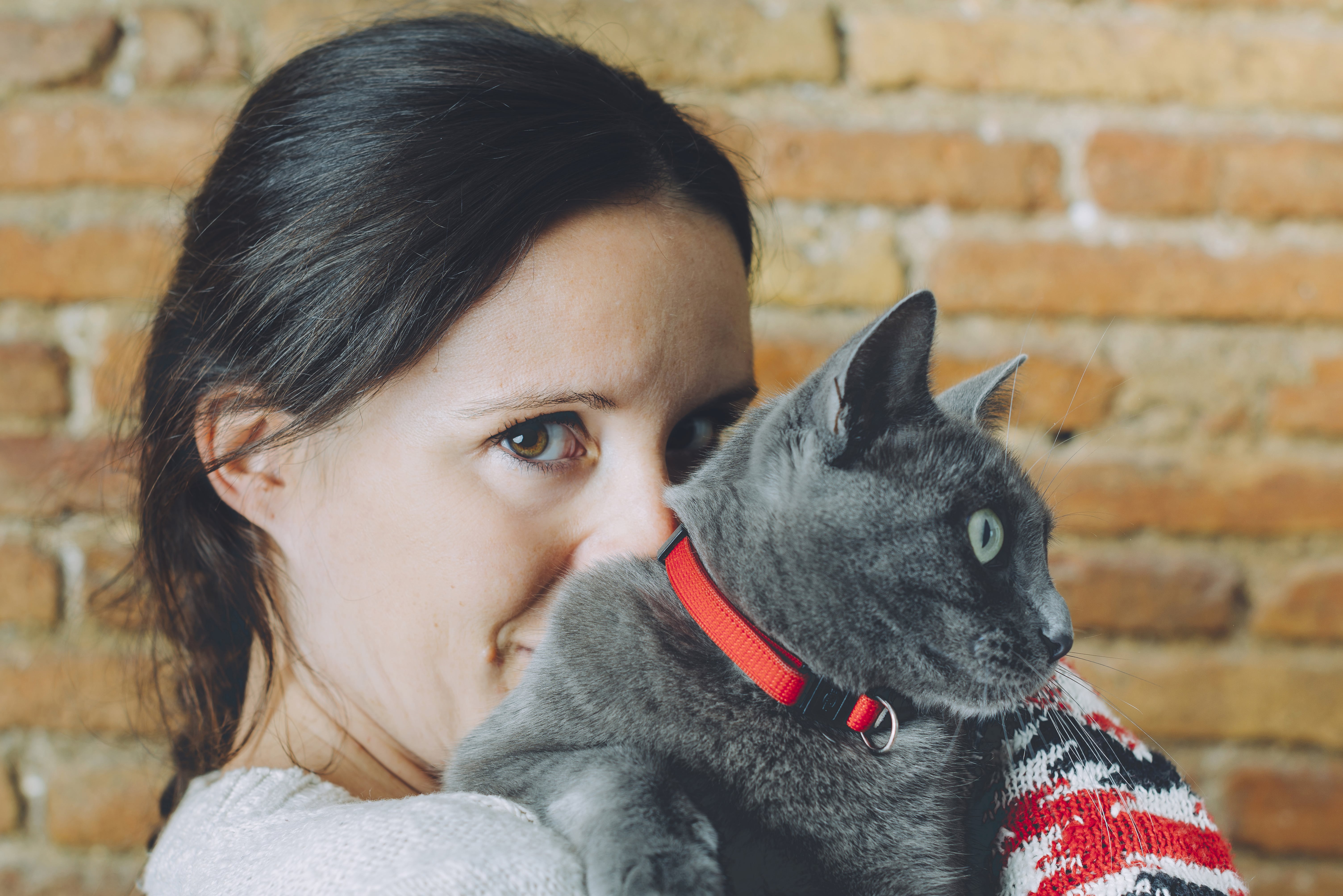 Does My Cat Need a Collar? POPSUGAR Pets