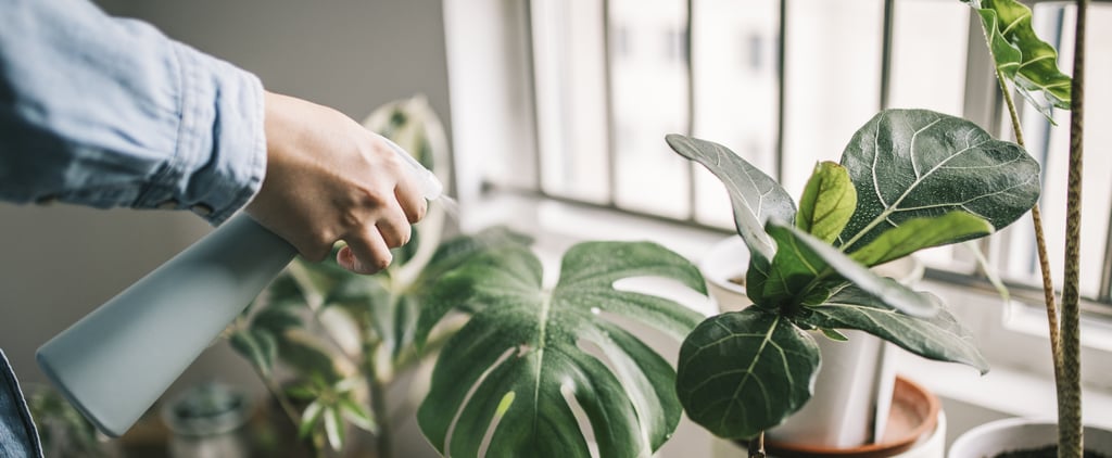 The Sex Appeal of Dating a Plant Dad