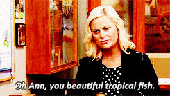 And let's not forget: Leslie's iconic Ann compliments.