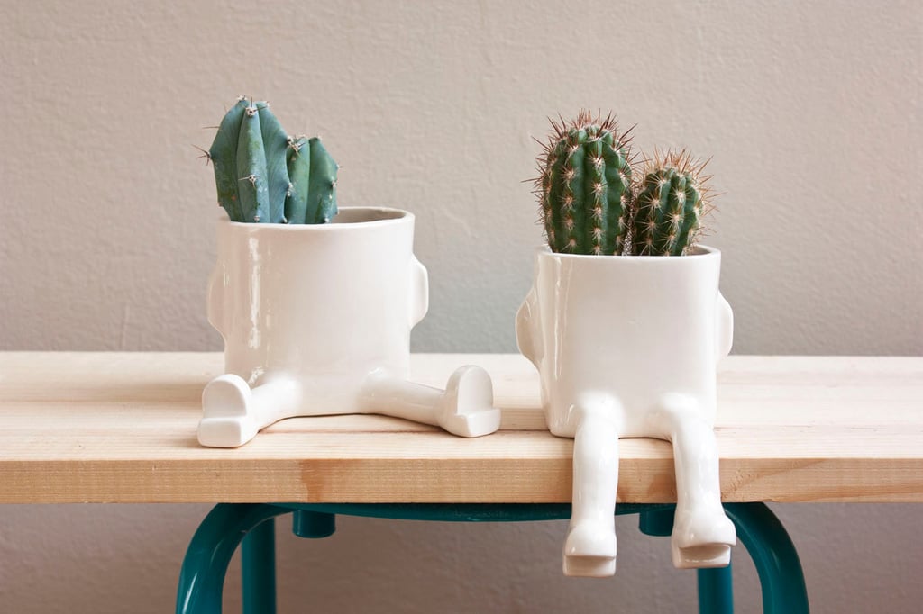 Ceramic Planters 2014 POPSUGAR Holiday Gift Guide POPSUGAR