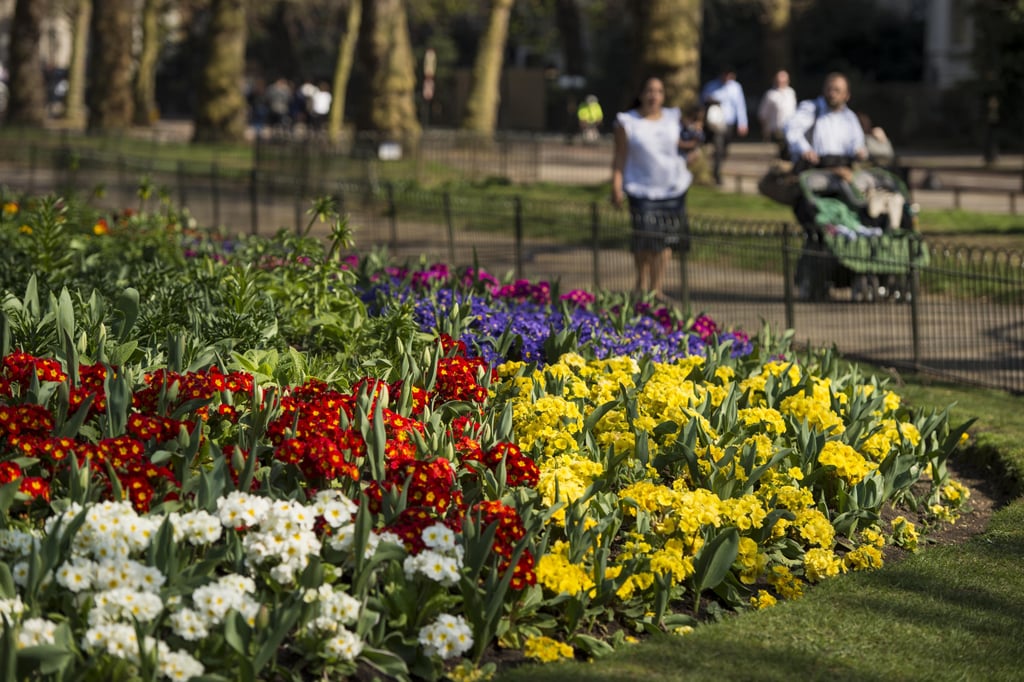 Pictures of England's Bank Holiday April 2015