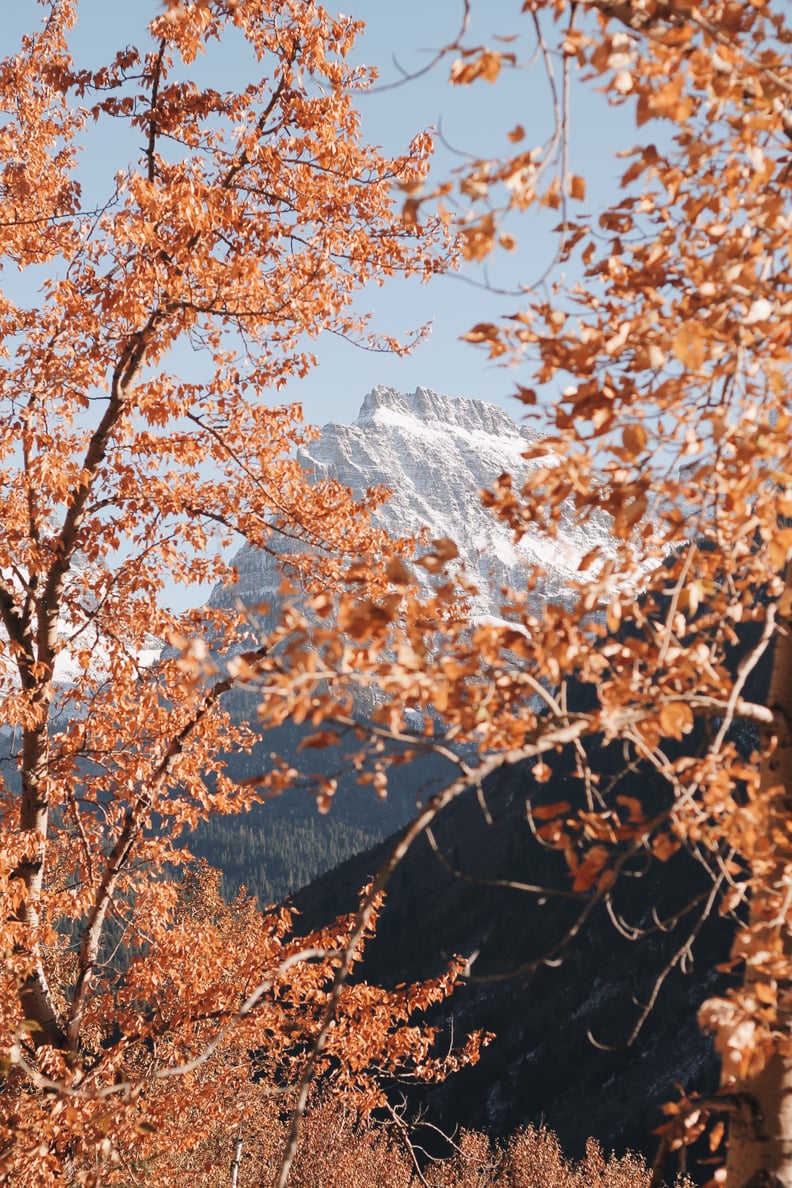 Fall Background: Leaves and Snow iPhone Wallpaper