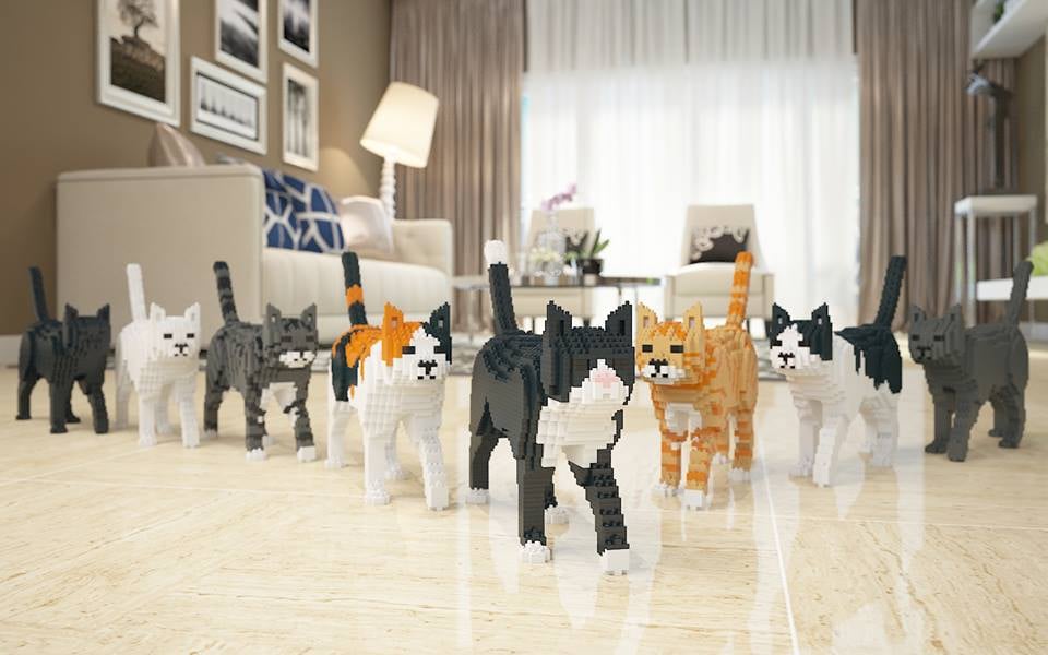Blocks That Let You Build a Cat
