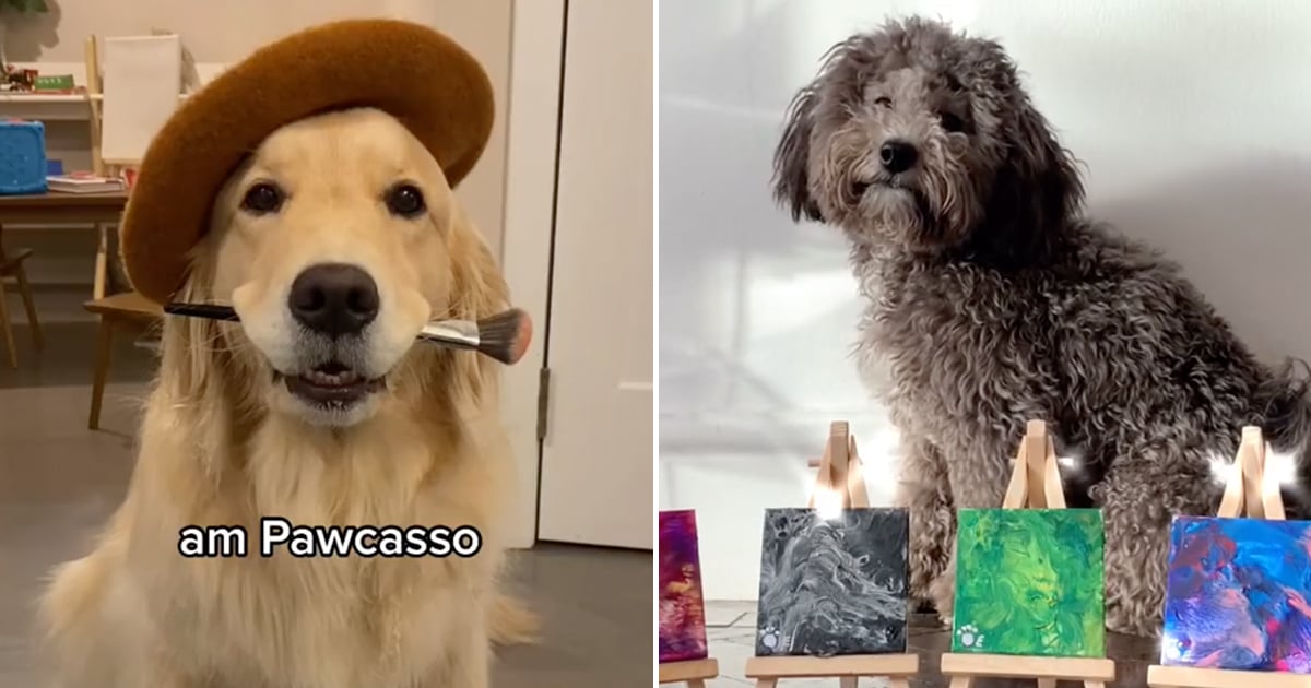 Dog shop licked paint