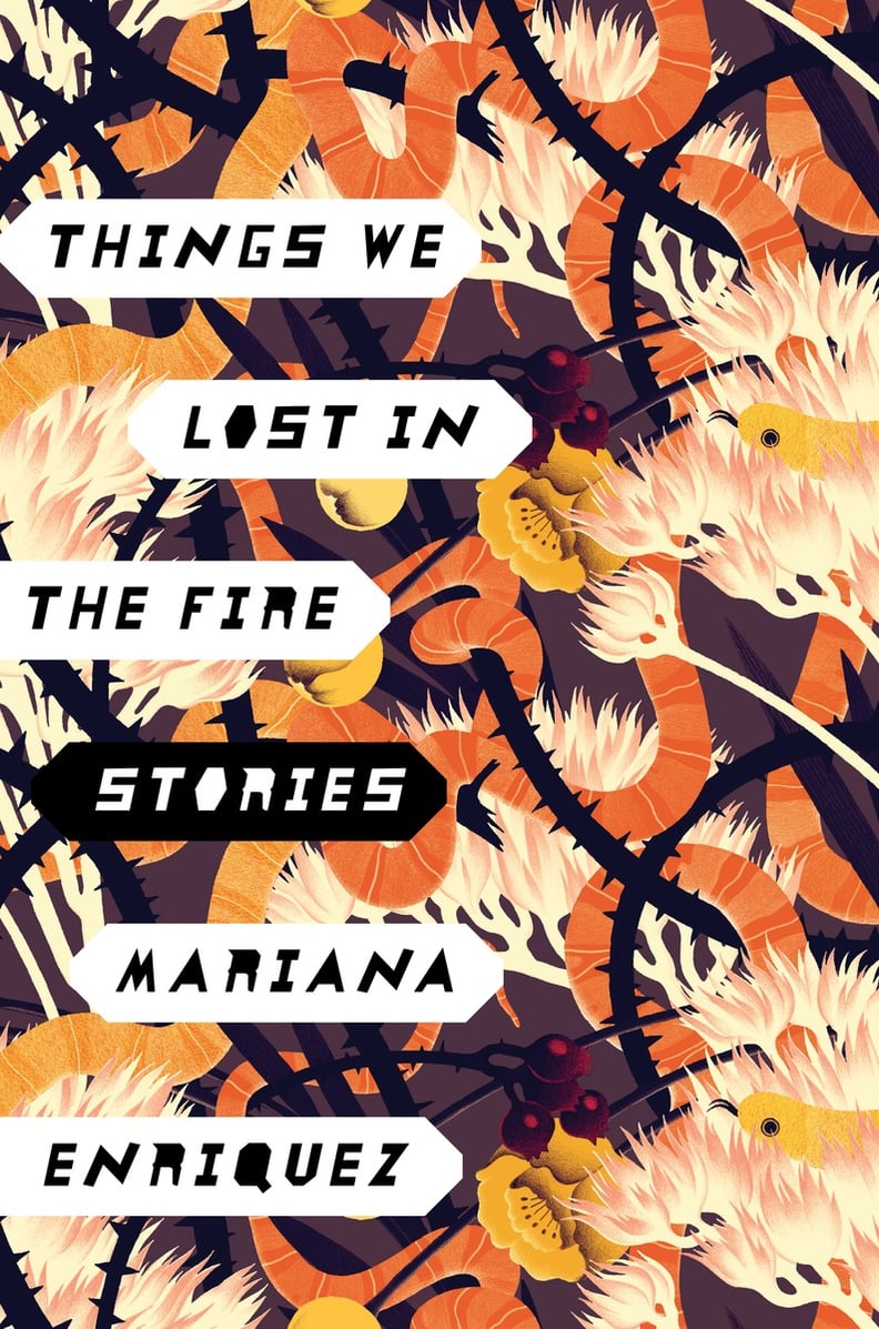 Things We Lost in the Fire by Mariana Enríquez