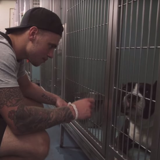 Gus Kenworthy Dog Adoption Video
