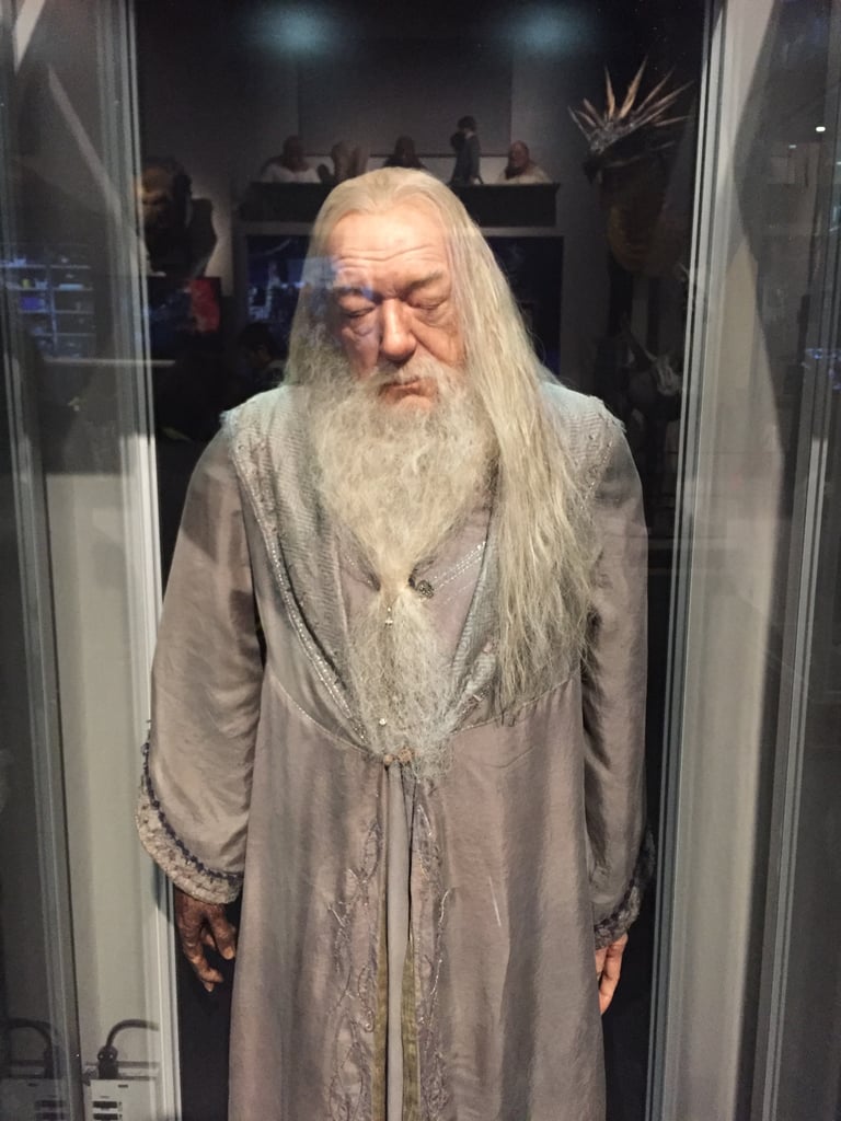 There are also several lifelike figures of some of the characters. Here's Dumbledore. (He's just sleeping, OK!)