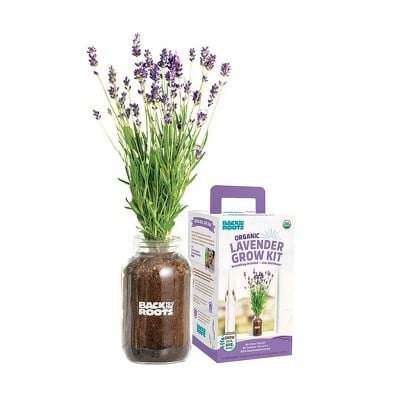 Back to the Roots Organic Lavender Windowsill Planter