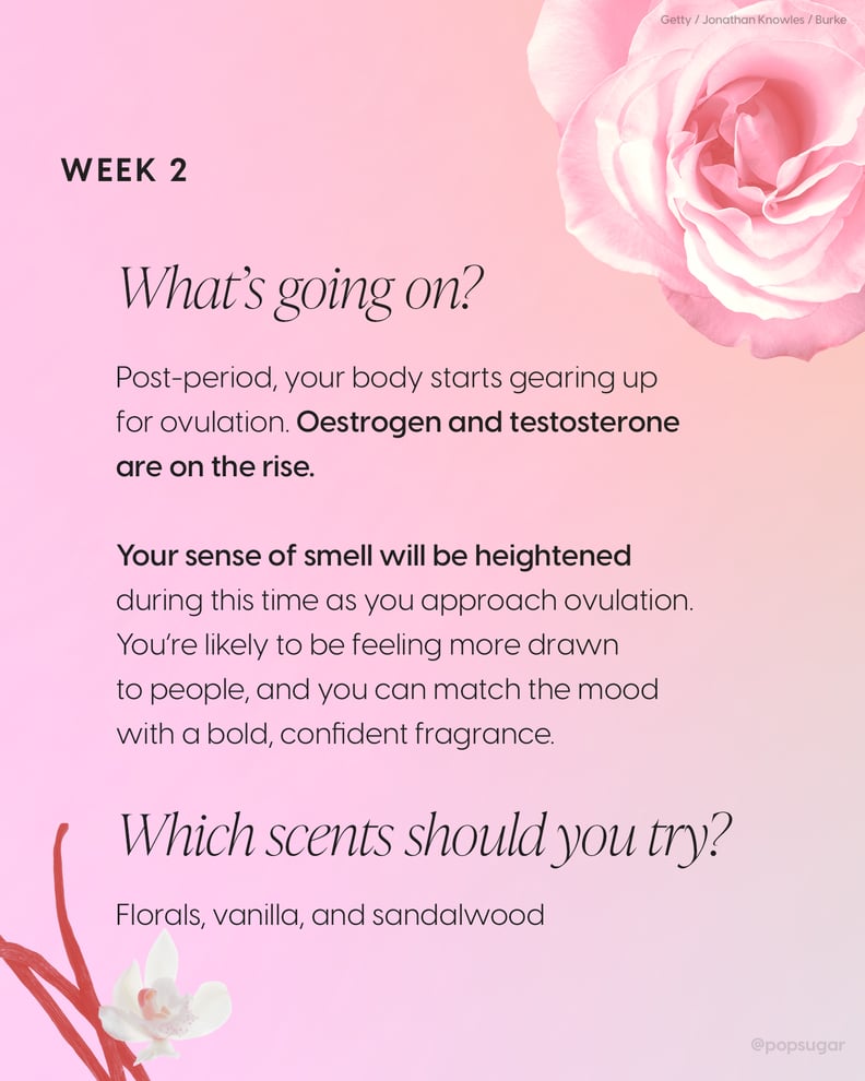 Menstrual Cycle Week 2: Florals, Vanilla, and Sandalwood