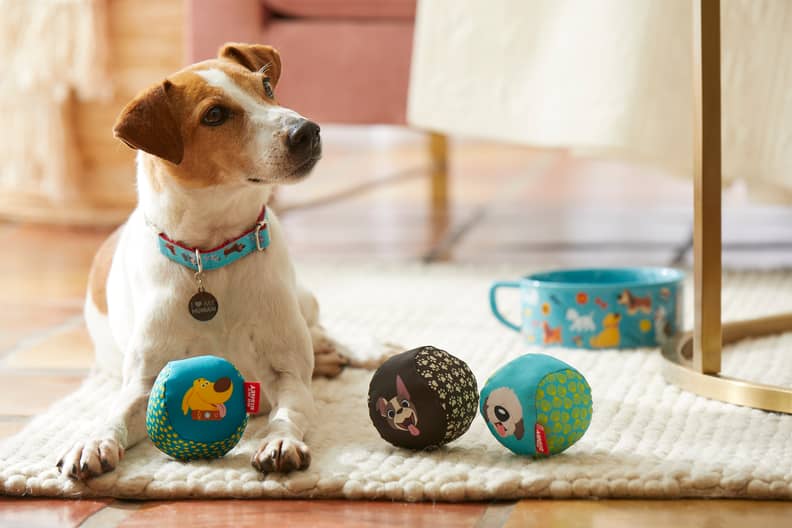 Disney dog 2024 accessories uk
