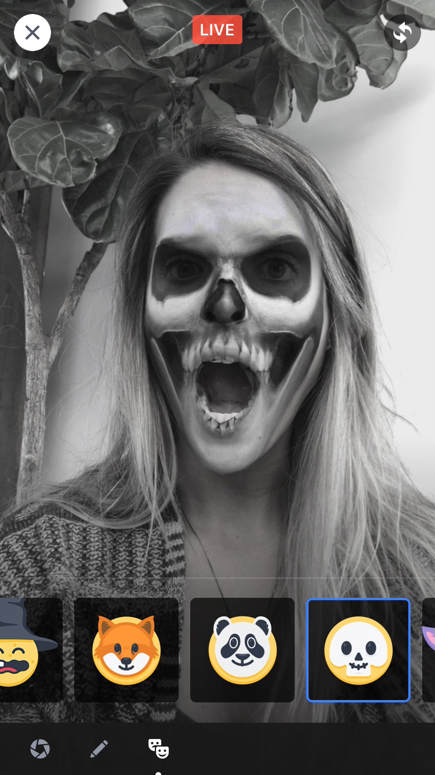 [Letter3 5] Skull Reaction Meme Terms Of Use - 2to4099