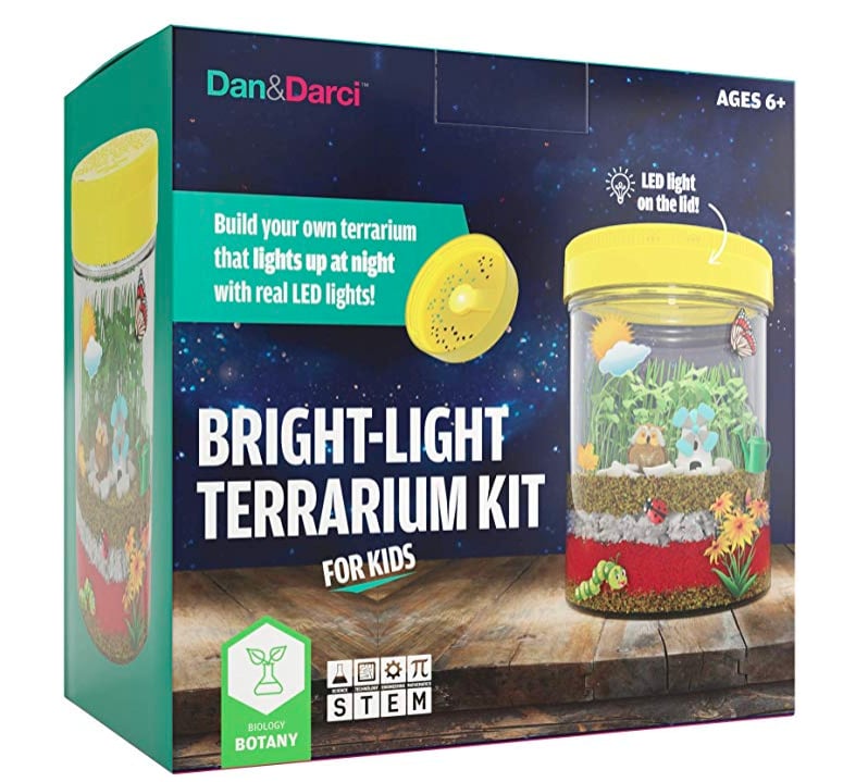 Dan and Darci Bright-Light Terrarium Kit For Kids