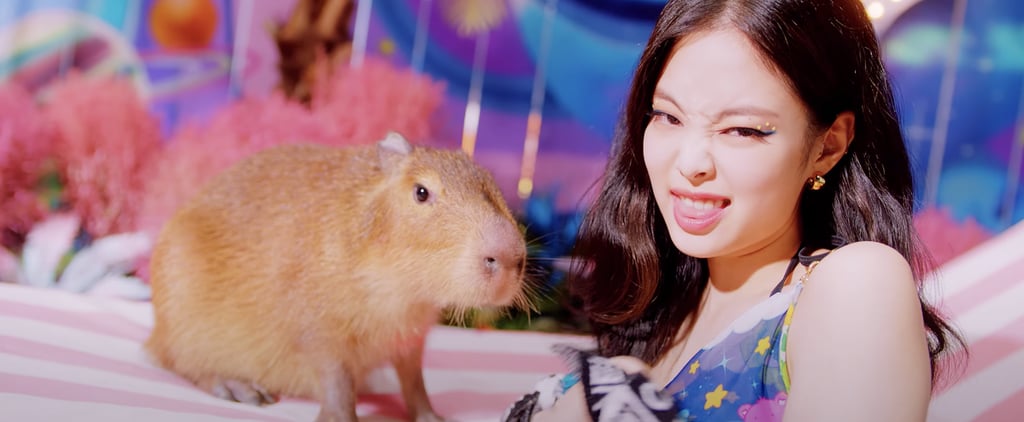 What's the Animal in Blackpink's "Ice Cream" Video? Capybara