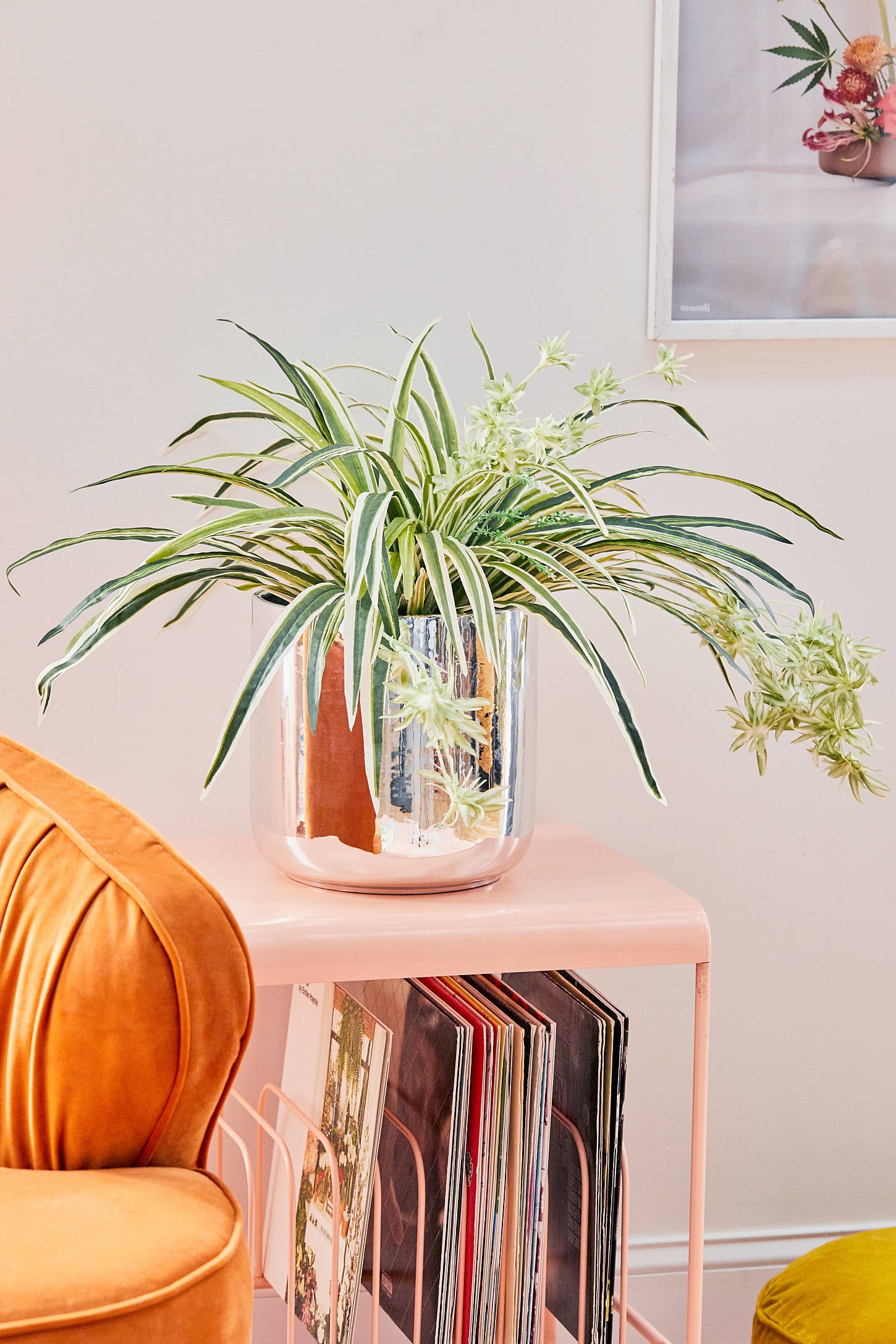 Spider Faux Plant 101 Fake Plants That Look So Real You